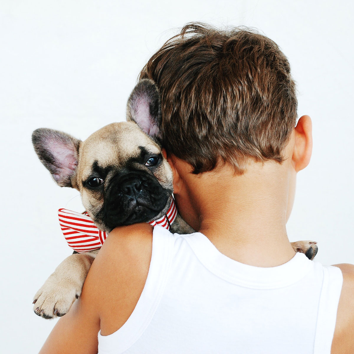 Wouf Go Pet Sitters