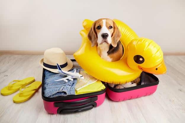 wouf go blog
